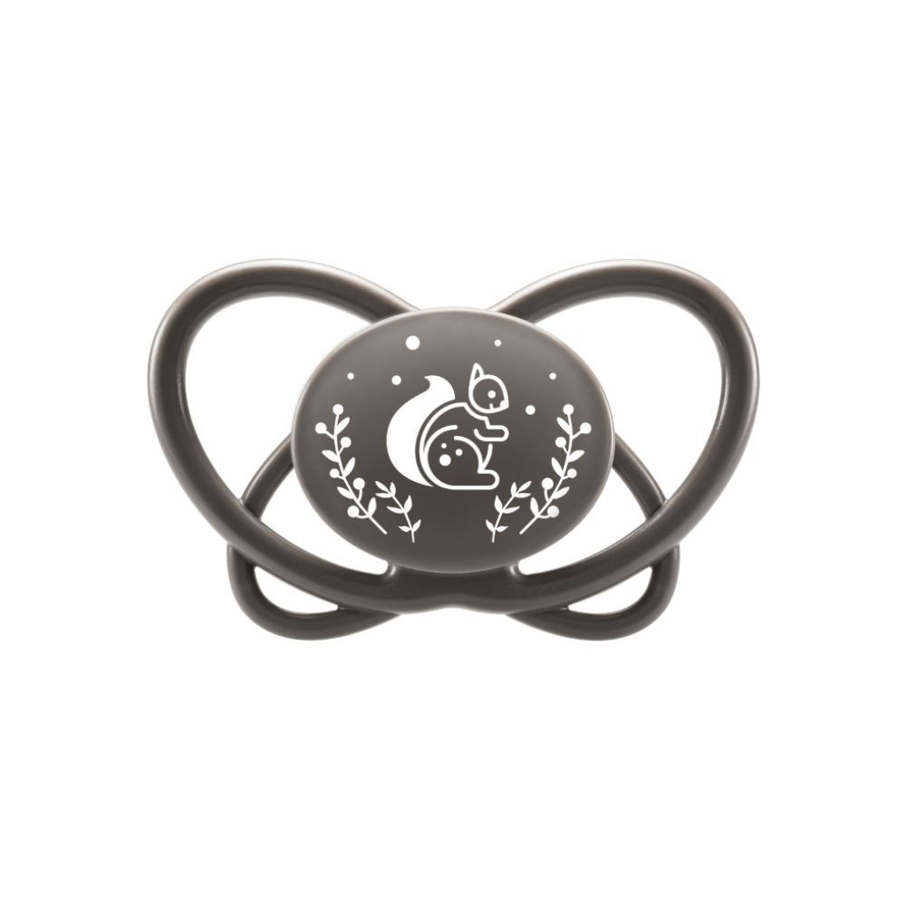 Nip Butterfly Soother With Sterilizer Box (5-18 Months) - Pack of 2