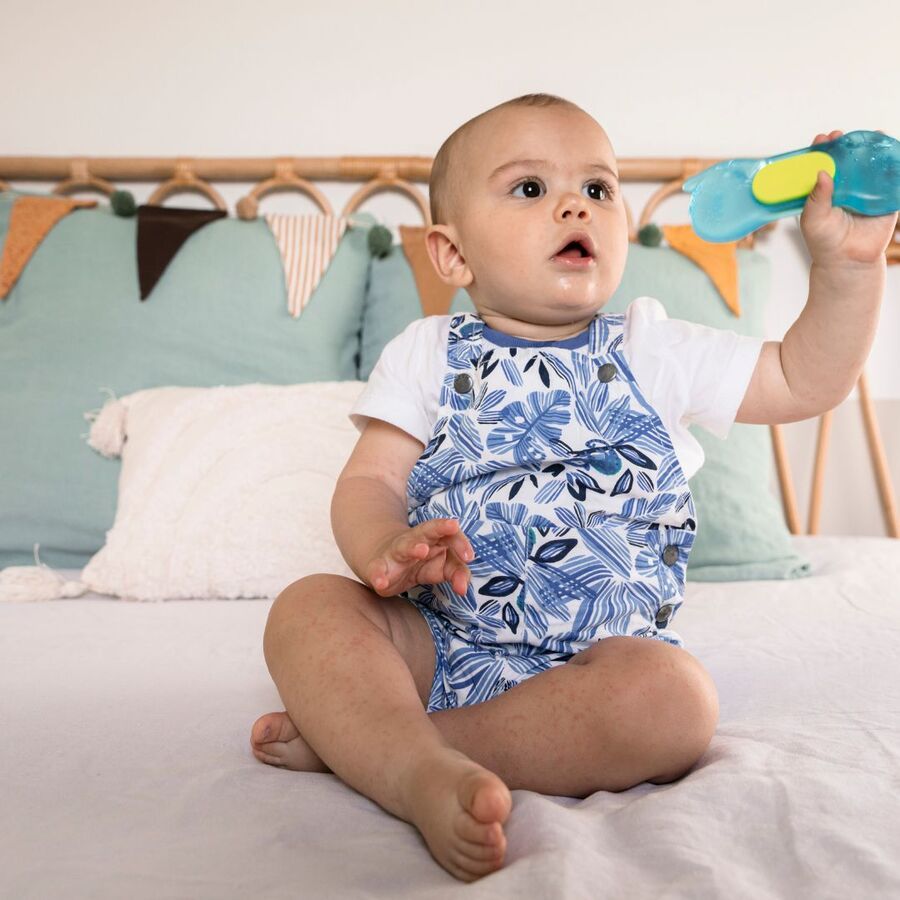 Sophie La Girafe Fresh Touch Ice Bite Telephone Teether