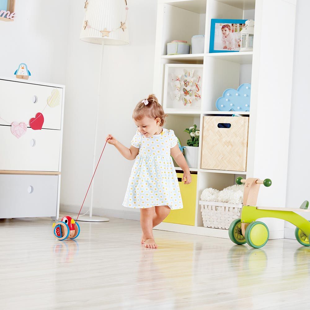 Hape Baby Bird Pull Along