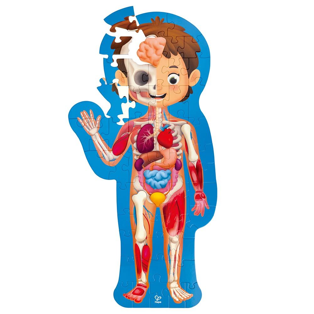 Hape Human Body Puzzle