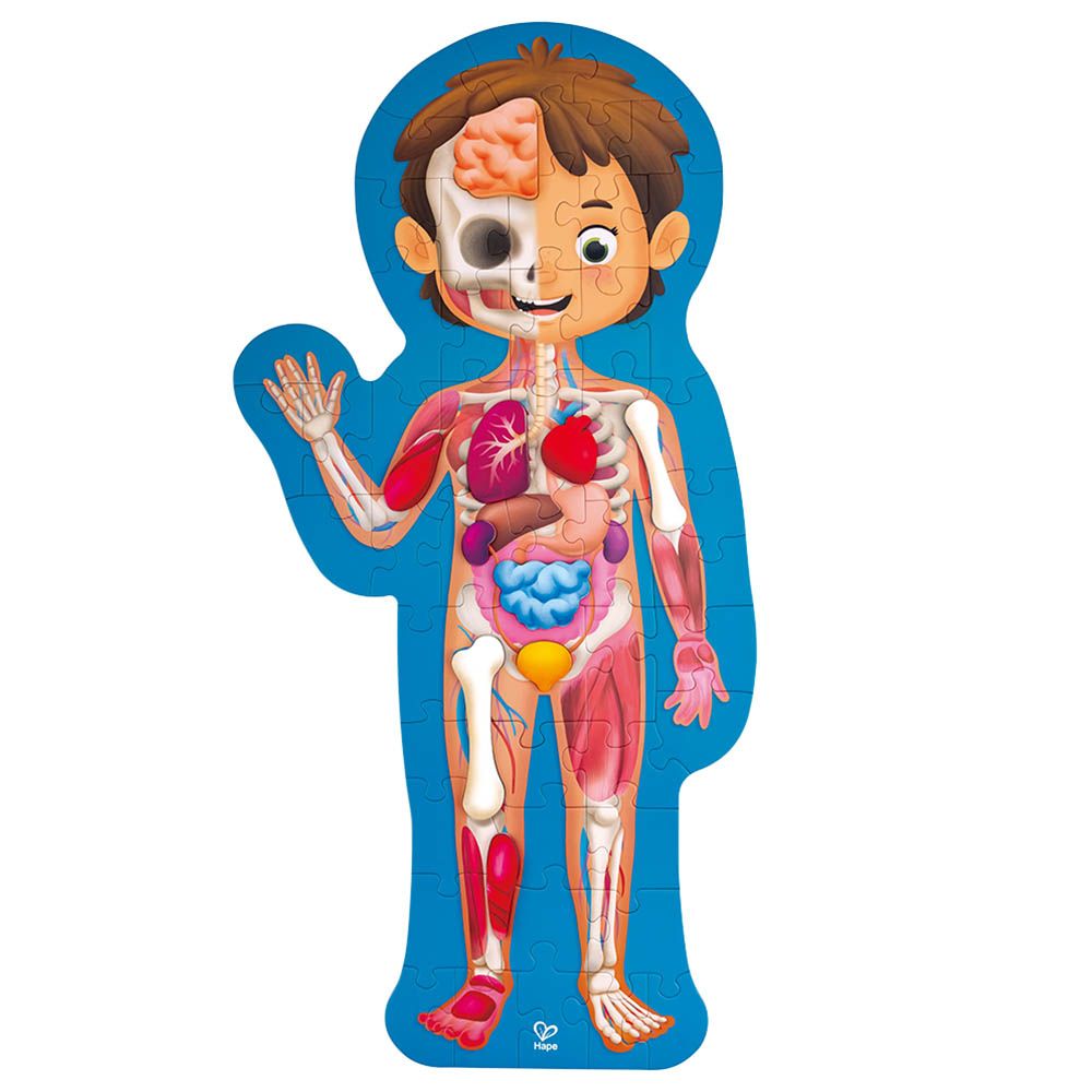 Hape Human Body Puzzle