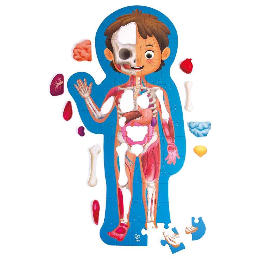 Hape Human Body Puzzle