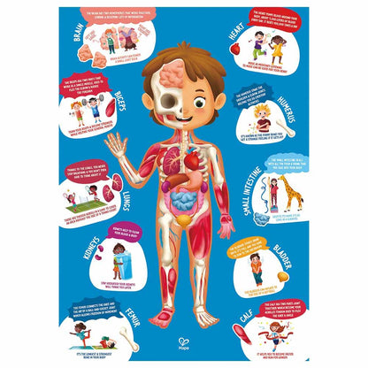 Hape Human Body Puzzle