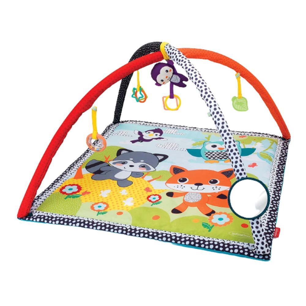 Infantino Pond Pals Activity Gym & Play Mat