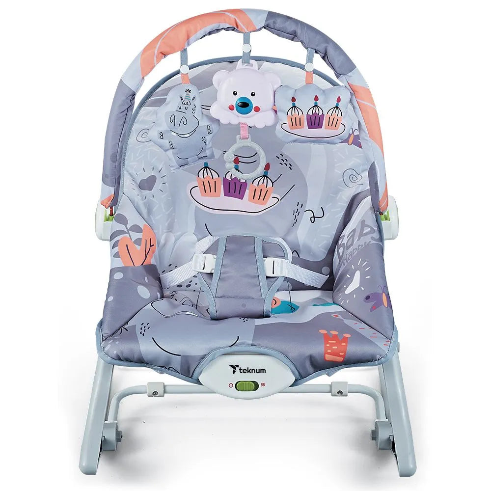 Teknum 3-In-1 Rocker Baby Seat Recliner with Soothing Music (Party Grey)