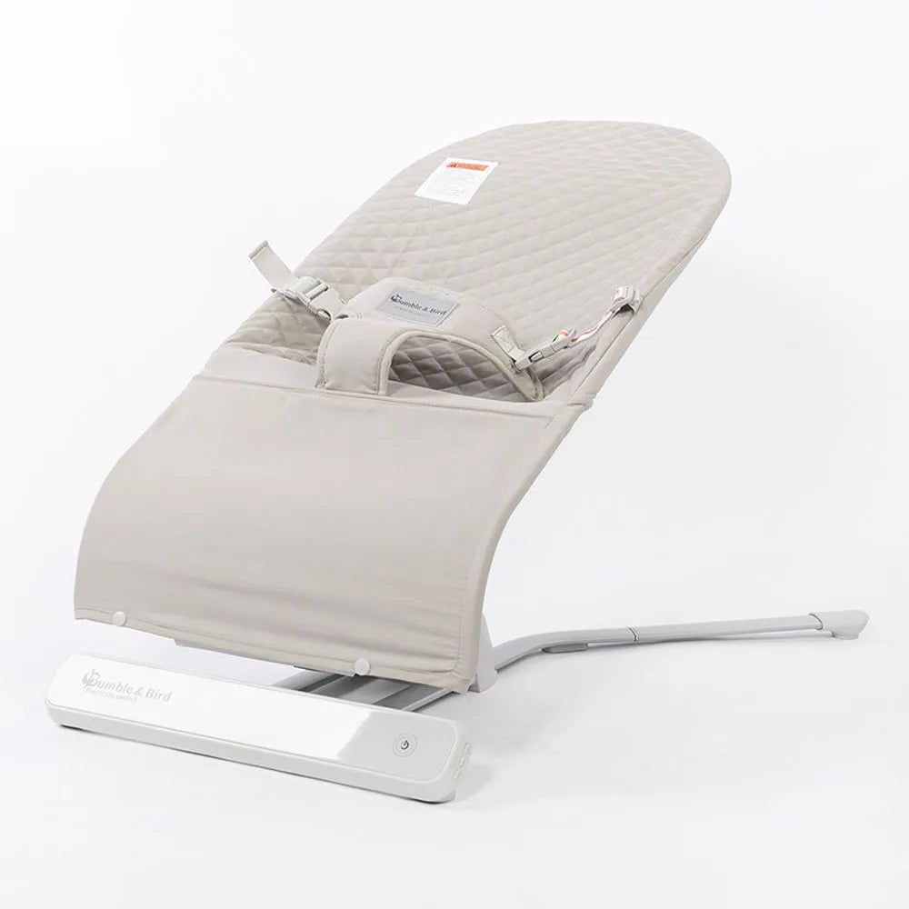Bumble & Bird Automatic Portable and Compact Baby Swing & Bouncer