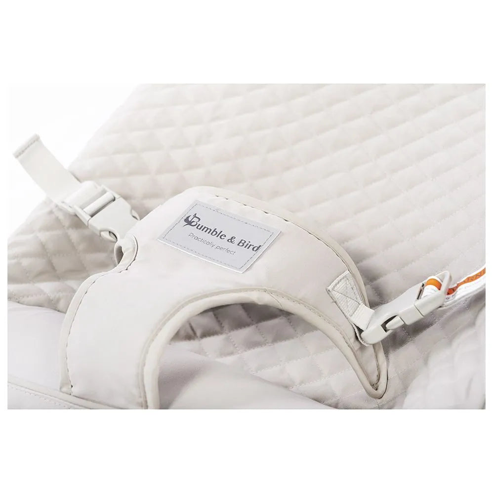 Bumble & Bird Automatic Portable and Compact Baby Swing & Bouncer