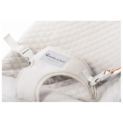 Bumble & Bird Automatic Portable and Compact Baby Swing & Bouncer