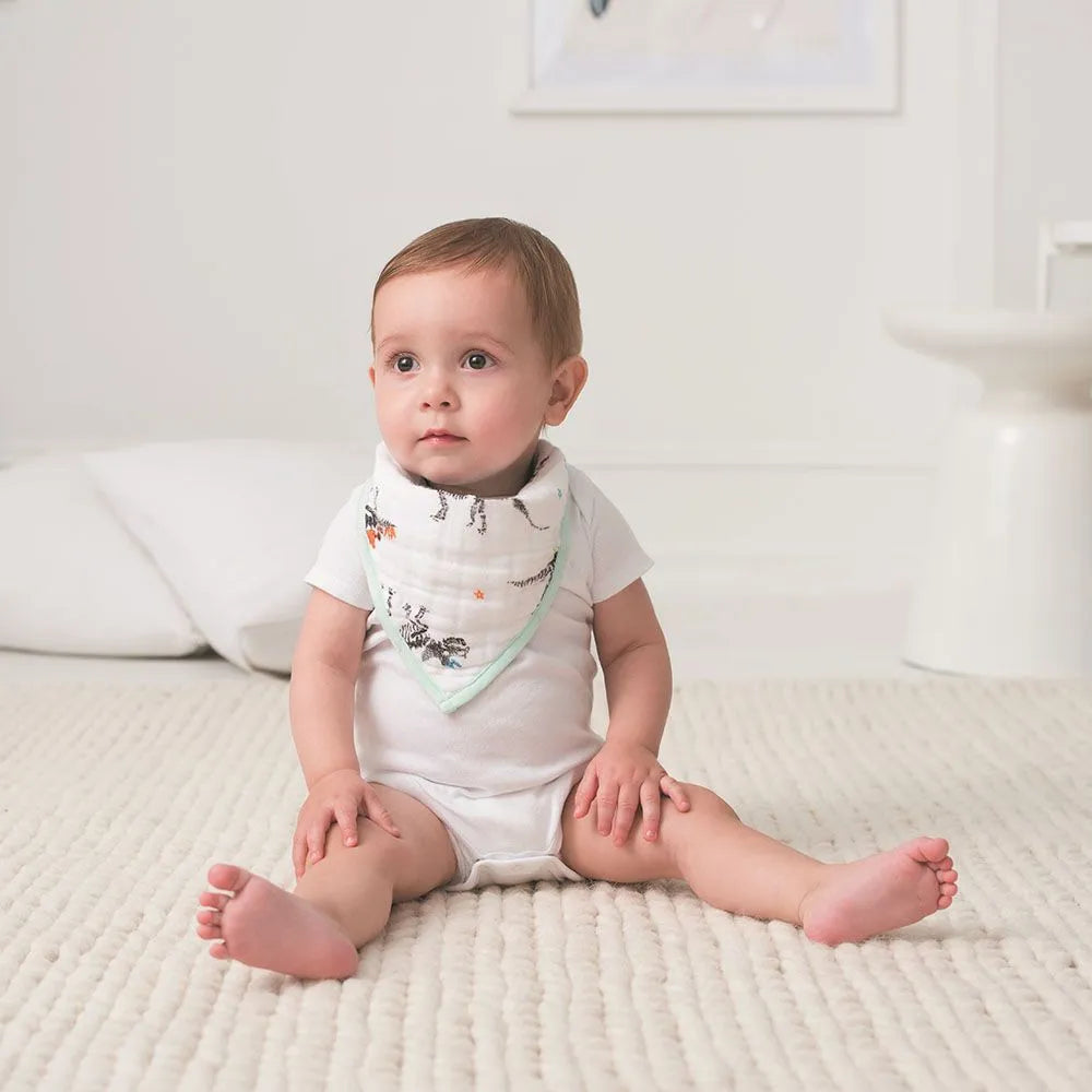 Aden + Anais Classic Bandana Bib