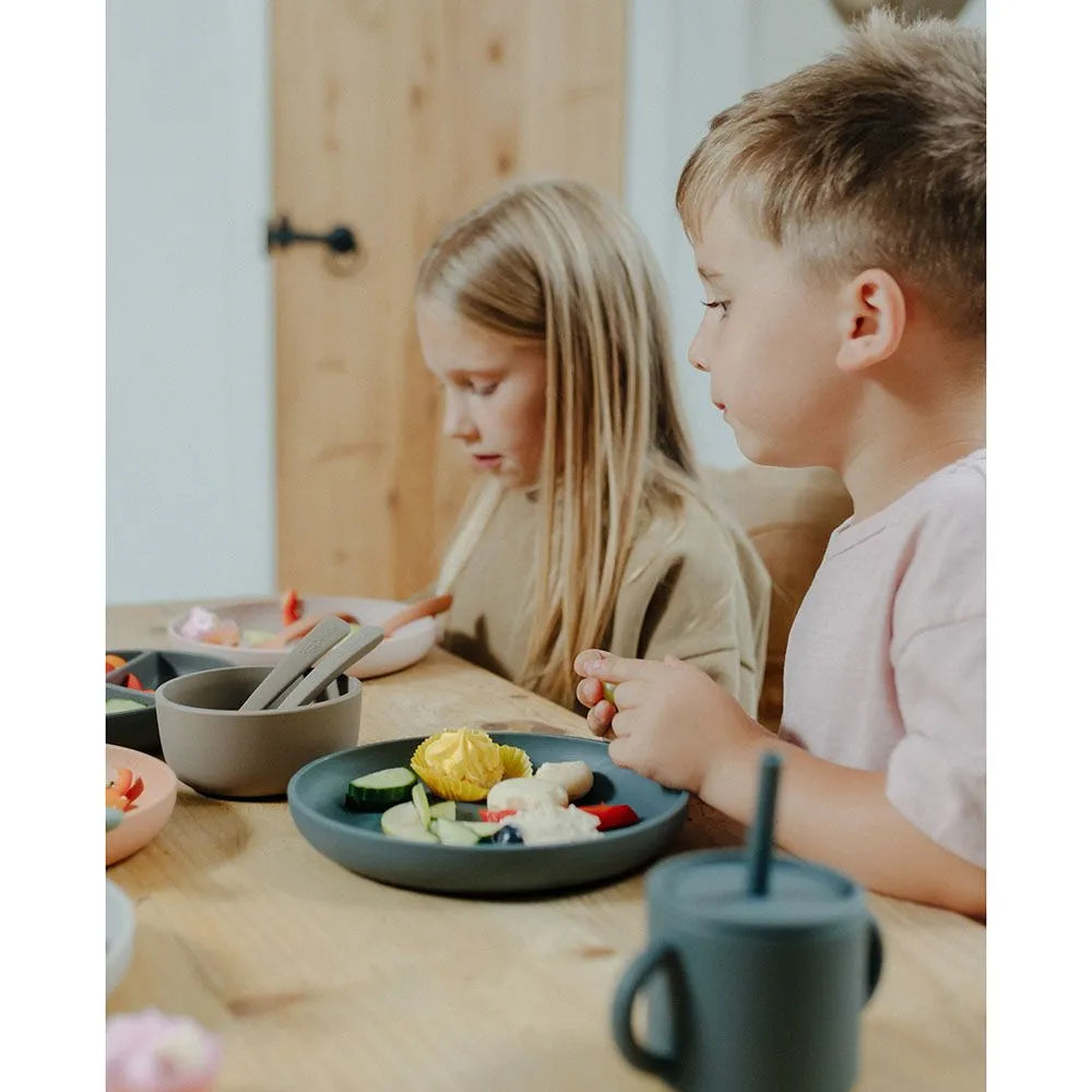 Pippeta Silicone Suction Bowl
