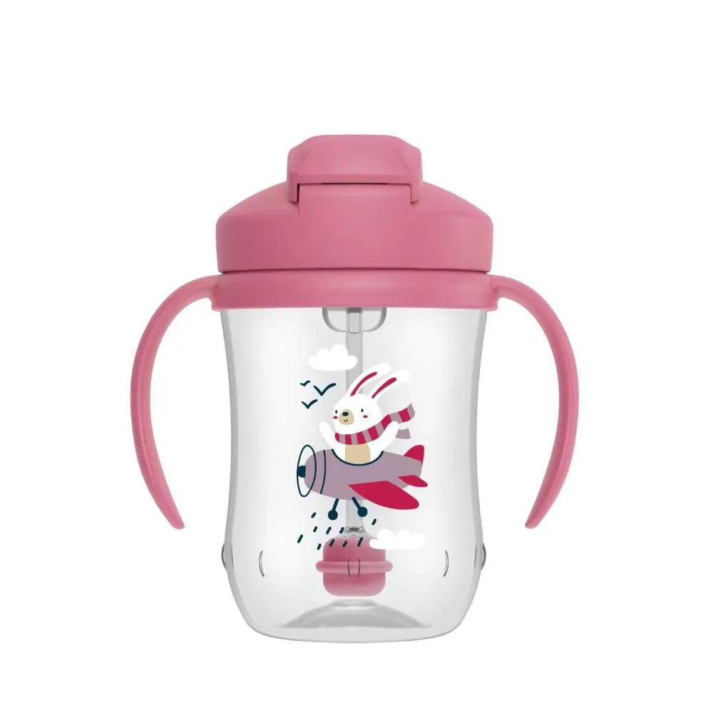 Dr.Browns Weighted Straw Cup (6 Months +) 270 ml