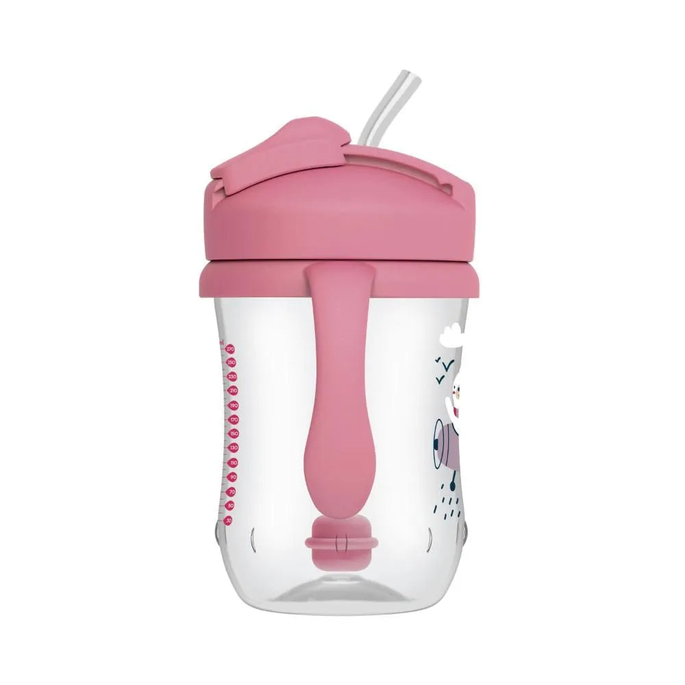 Dr.Browns Weighted Straw Cup (6 Months +) 270 ml