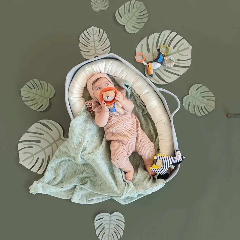 Taf Toys Harry The Lion Clip On Rattle
