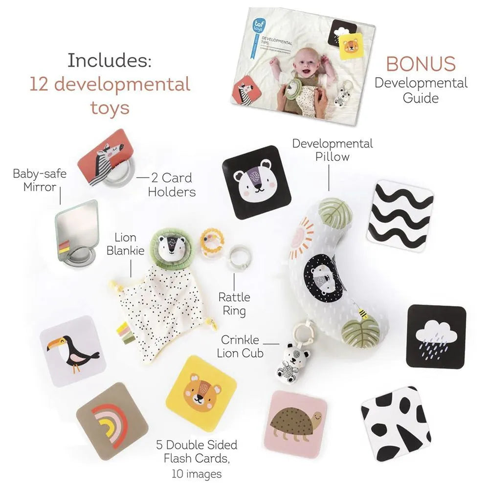 Taf Toy Hello Baby Newborn Developmental Toy Kit
