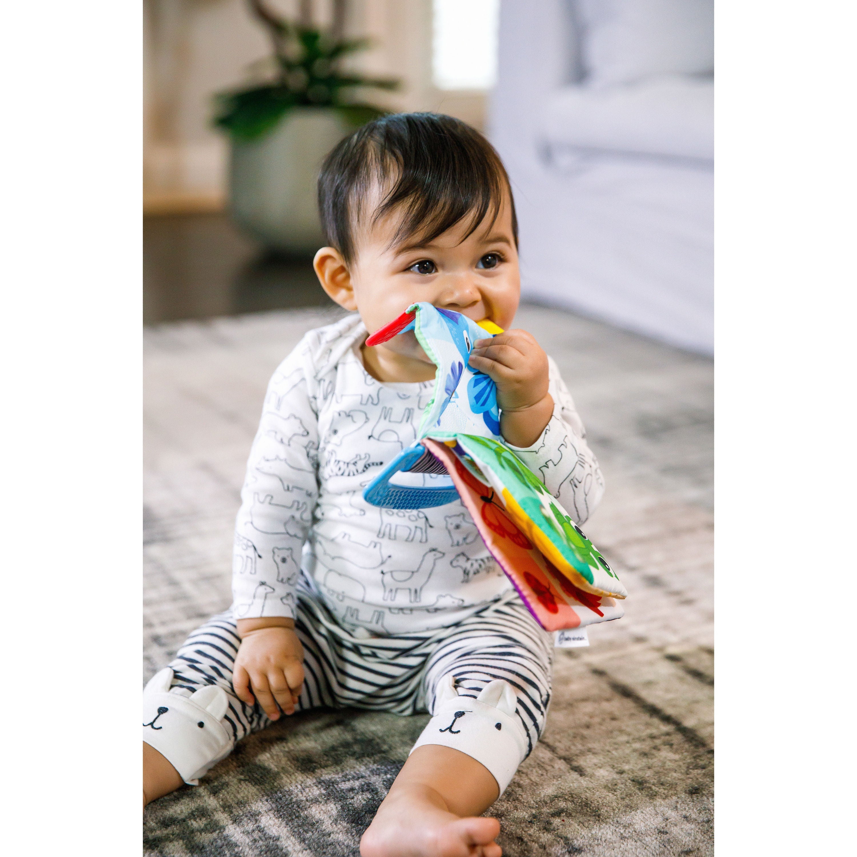 Baby Einstein Curious Explorers Teether Book