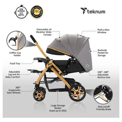 Teknum Reversible Trip2 Stroller – Grey