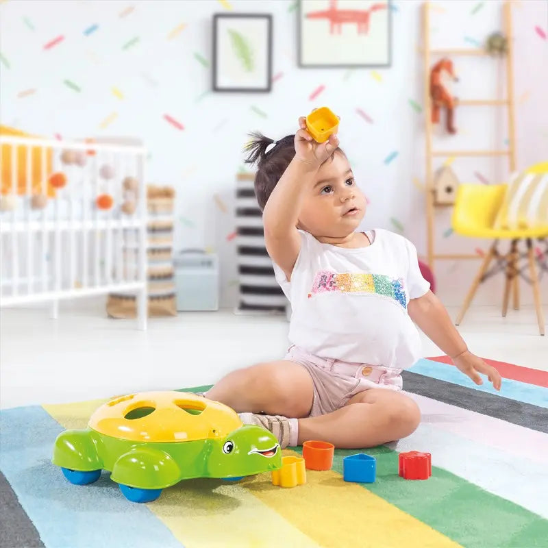 Dolu Turtle Shape Sorter (5 Pcs)