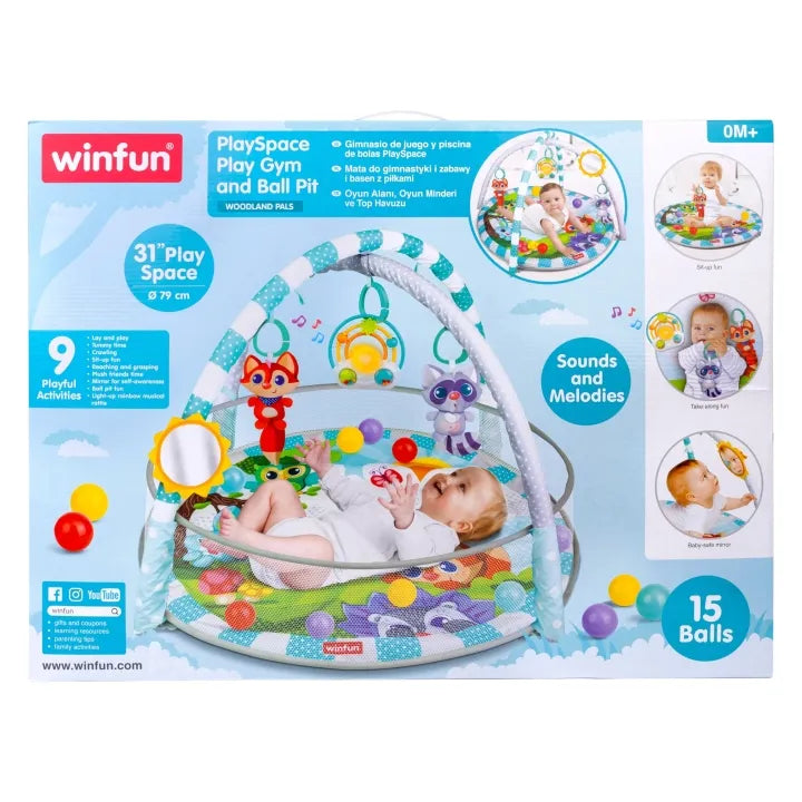 Winfun Playspace Play Gym and Ball Pit