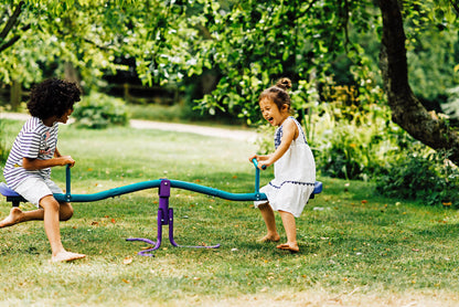 Plum - Rotating Metal Seesaw - Teal