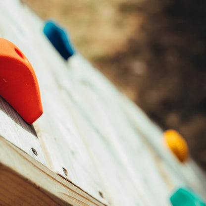 Plum - Bison Wooden Playcentre