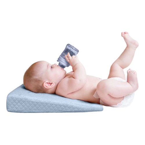 Robins Wedge Pillow (Blue)