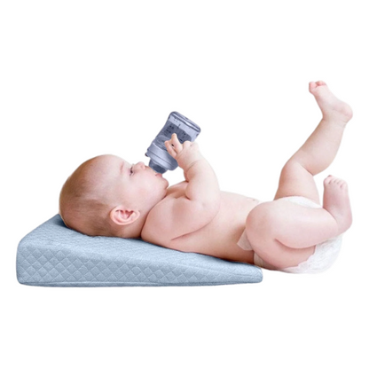 Robins Wedge Pillow (Blue)