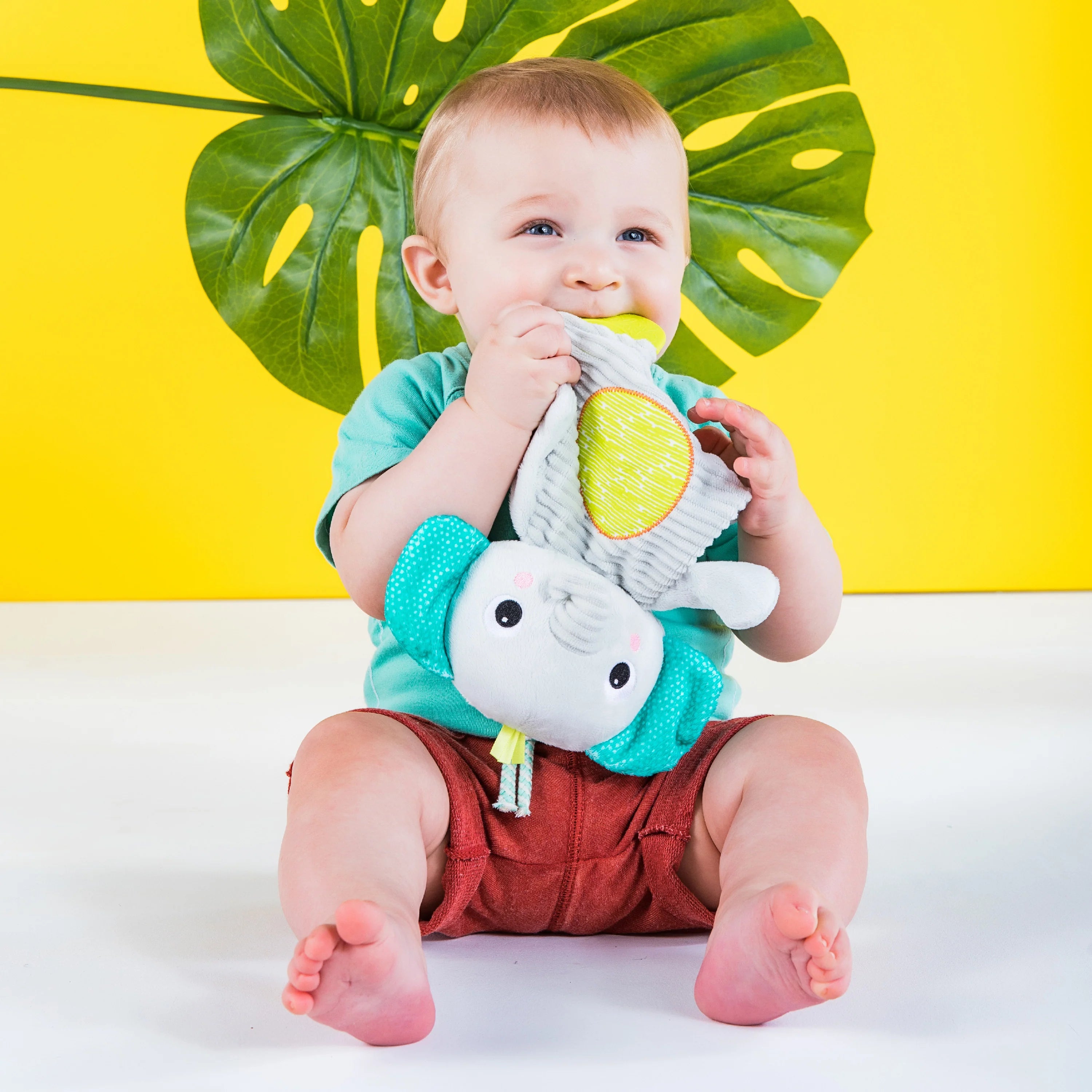 Bright Starts Snuggle & Teether Plush Peg