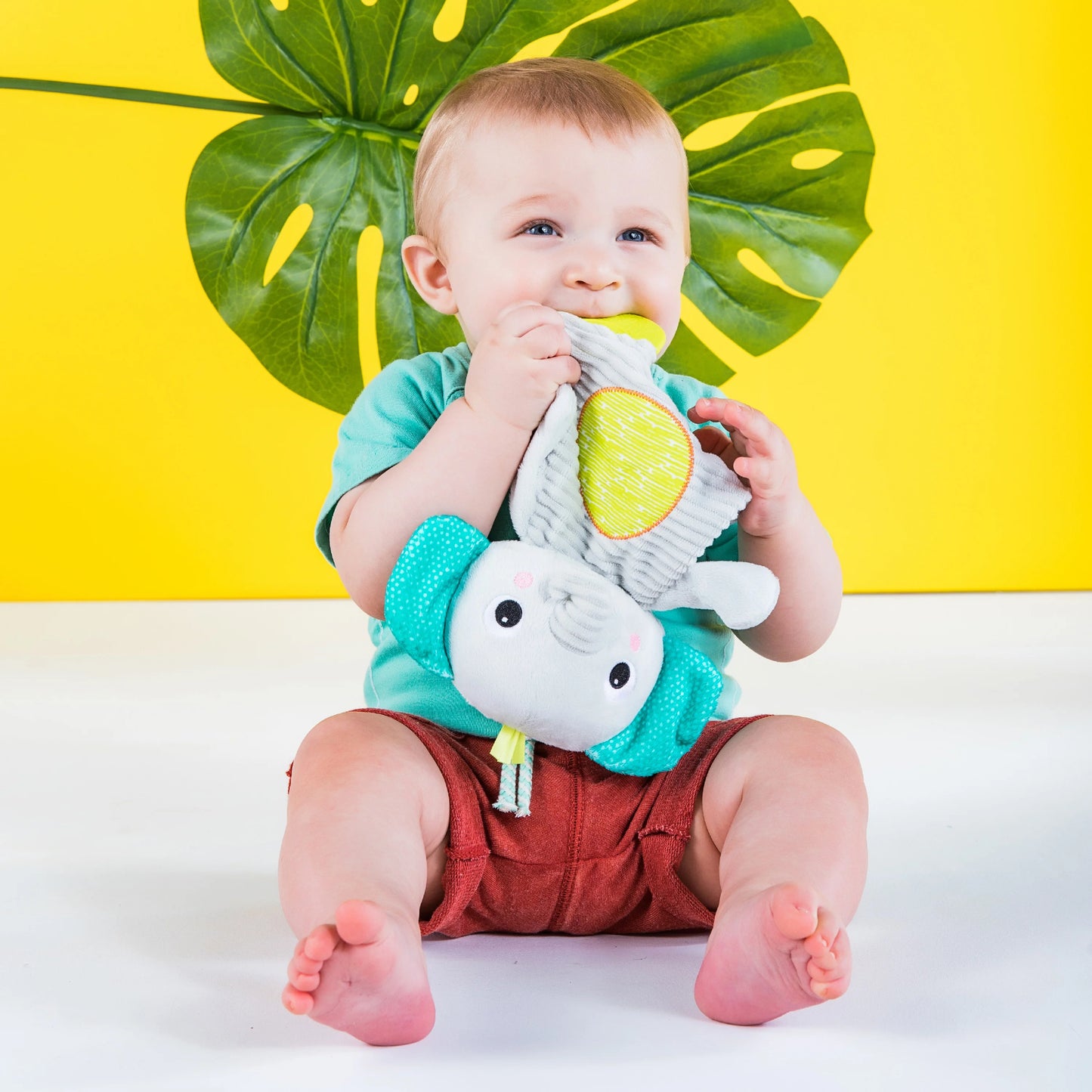 Bright Starts Snuggle & Teether Plush Peg
