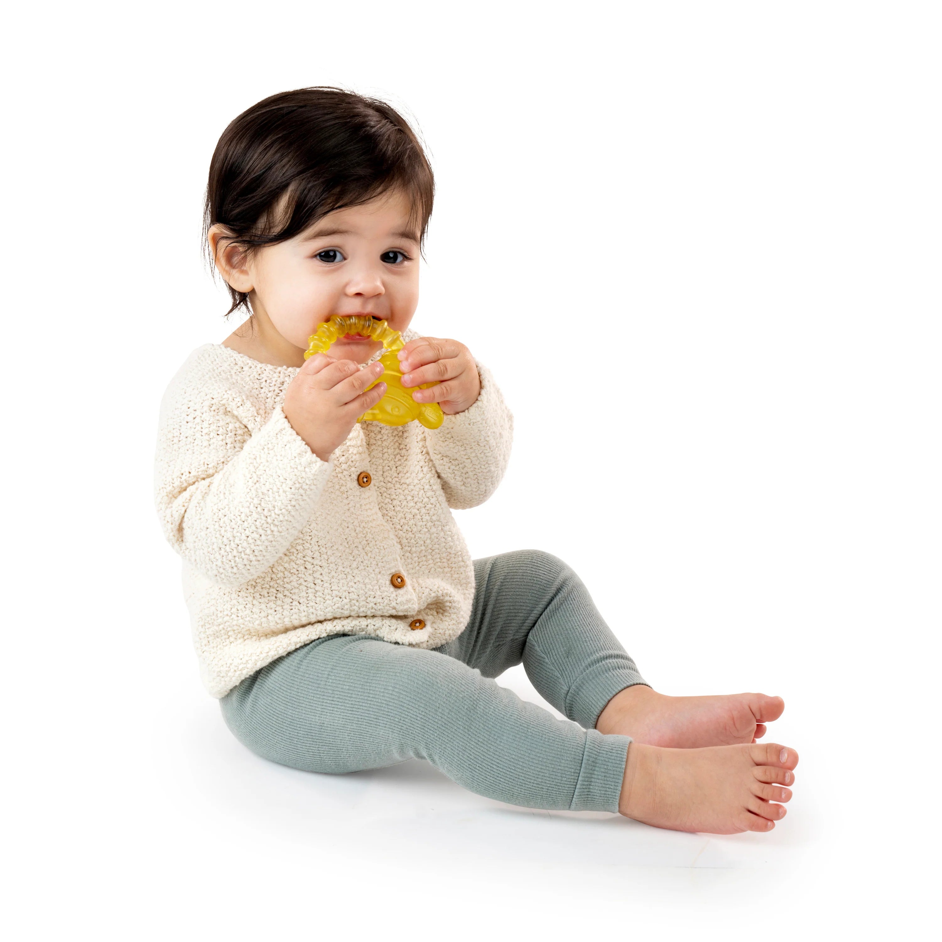 Ingenuity Cool Bite Water Teether