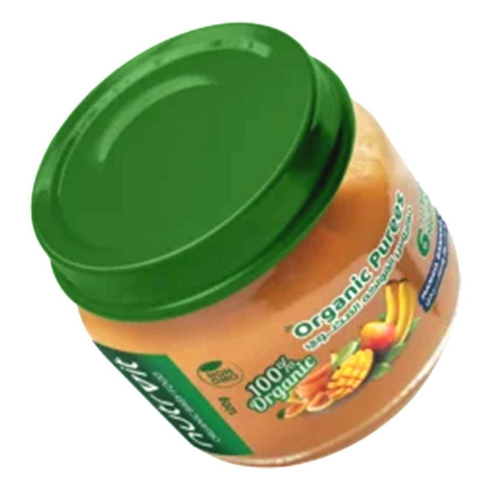 نوترفيت مهروس المانجو والموز والسفرجل (120g)