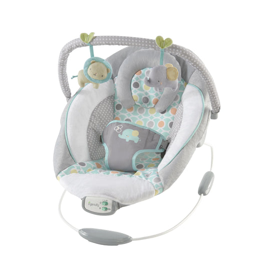 Ingenuity Soothing Bouncer (Morrison)