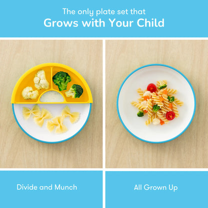 Omielife Omie Easy Scoop Plate Set (19cm)