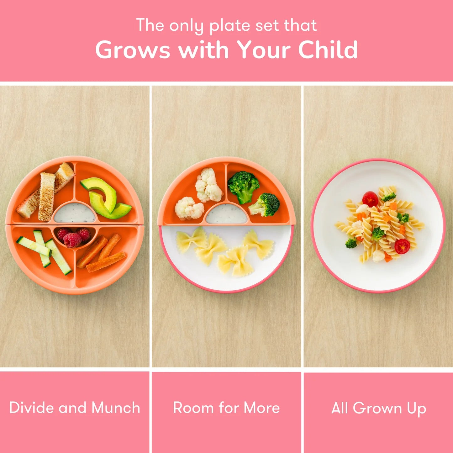 Omielife Omie Easy Scoop Plate Set (19cm)