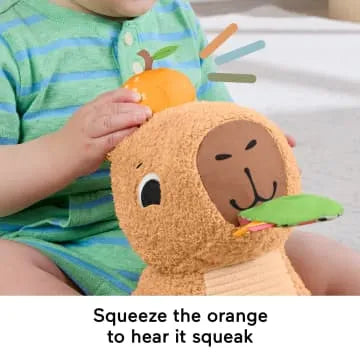 Fisher Price Sensimals Snuggly Snacky Capybara