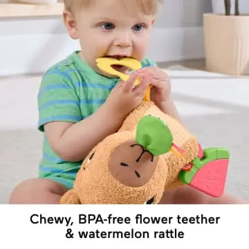Fisher Price Sensimals Snuggly Snacky Capybara