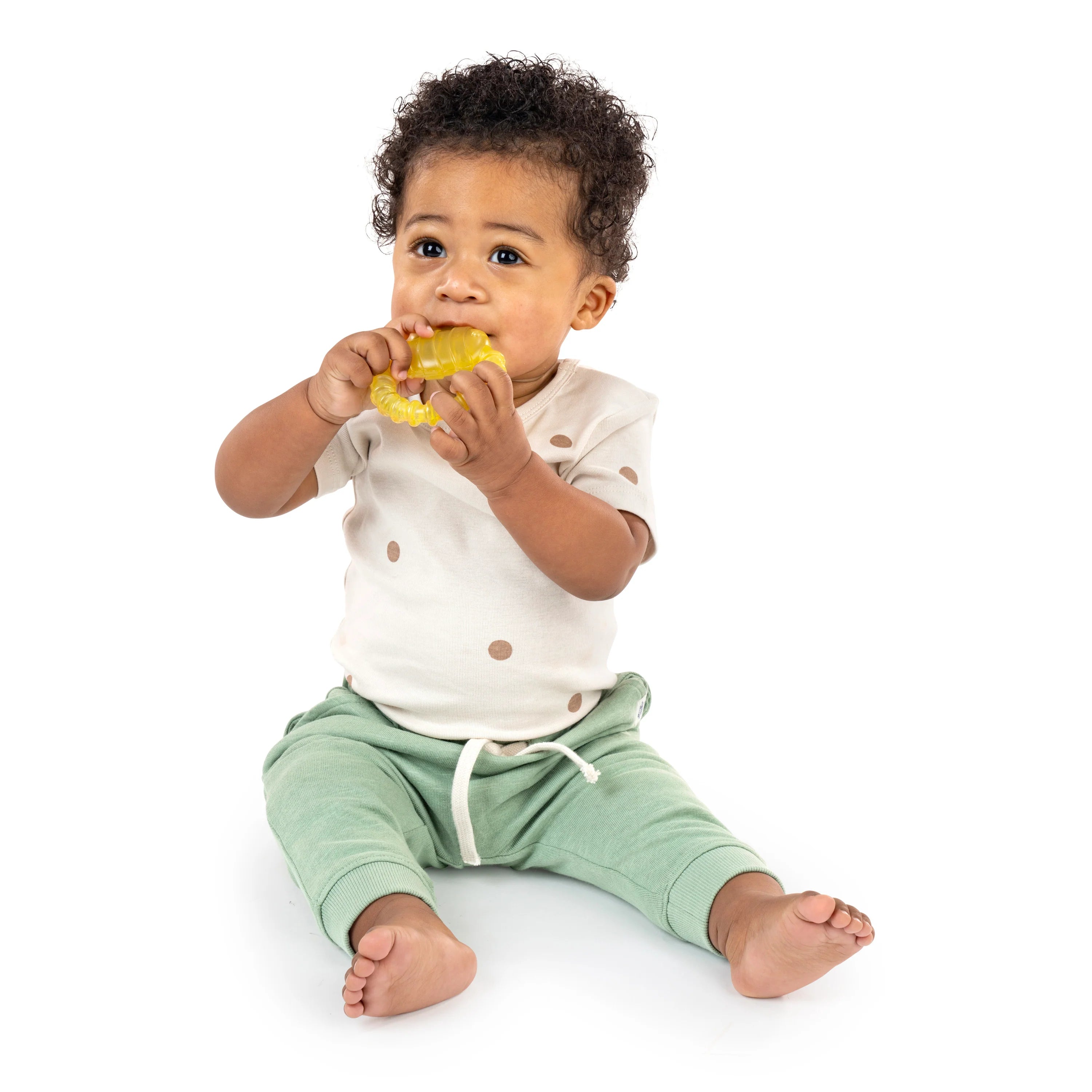 Ingenuity Cool Bite Water Teether