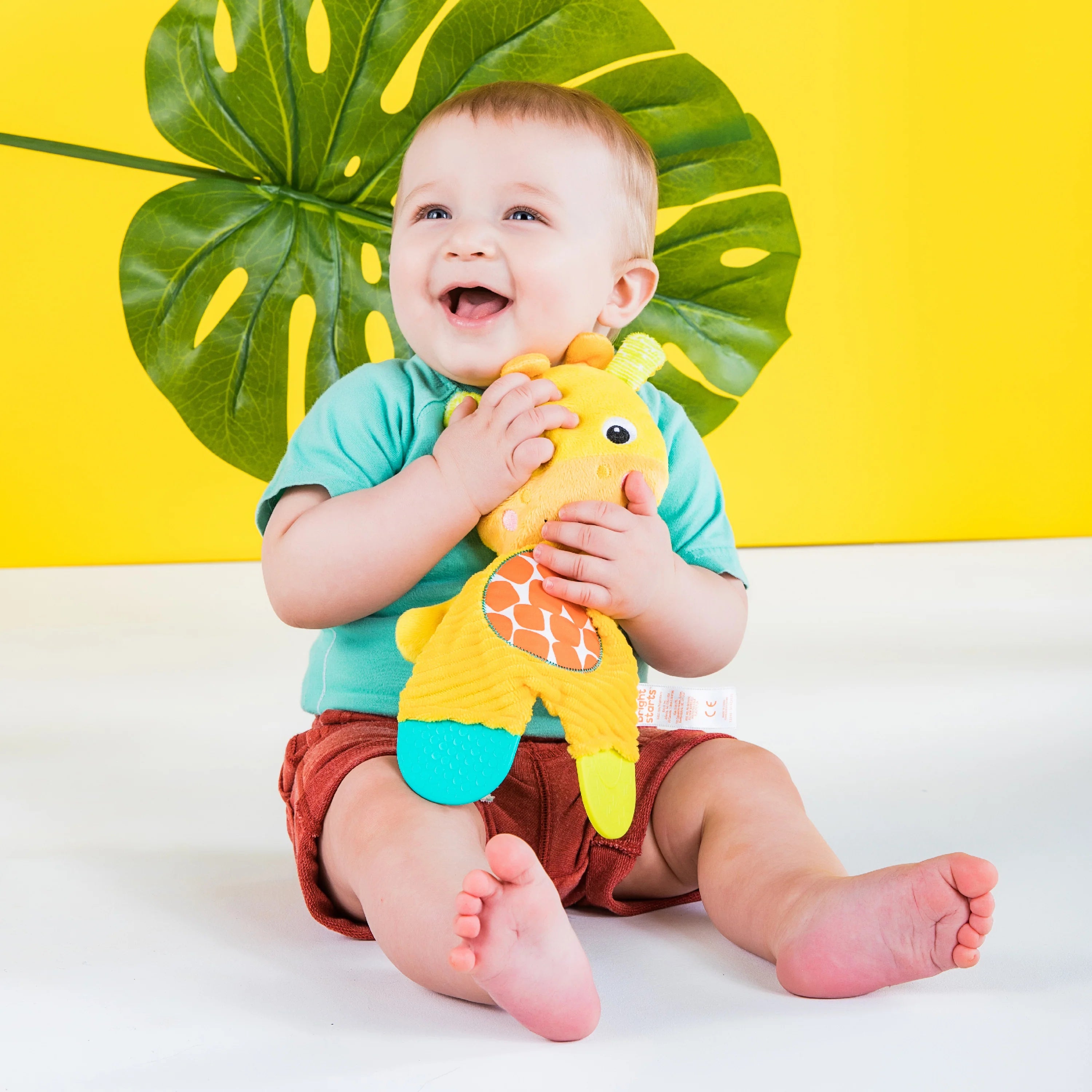Bright Starts Snuggle & Teether Plush Peg